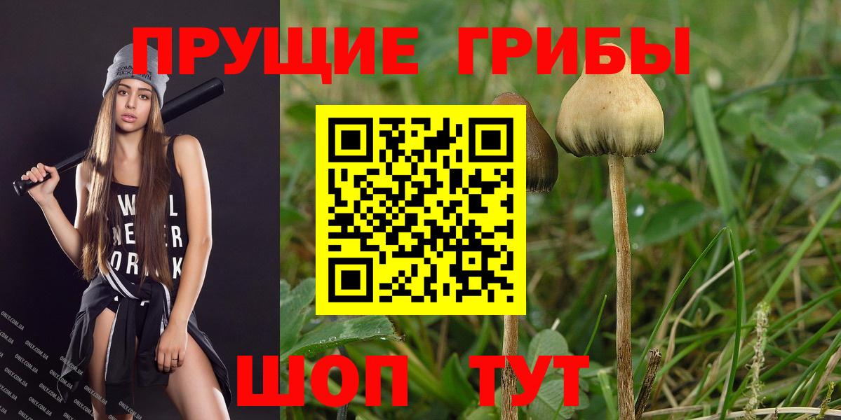 Галлюциногенные грибы GOLDEN TEACHER  Псилоцибиновые грибы Magic Shrooms  Вход с VPN  Новоалтайск 